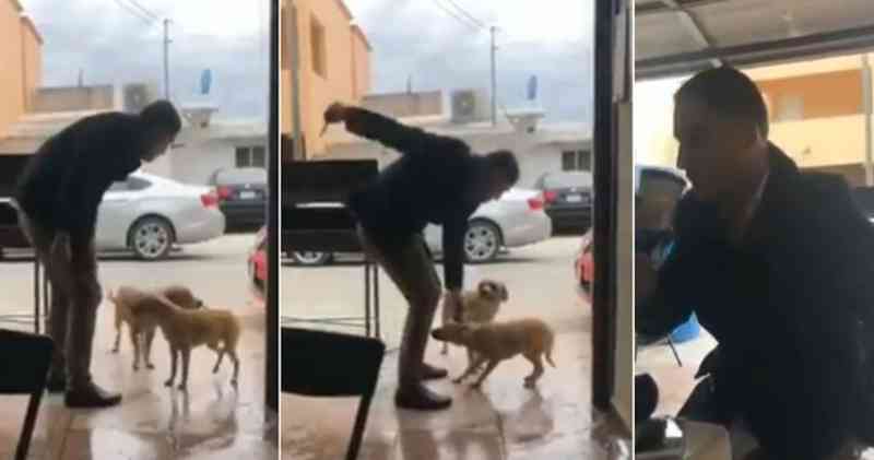 Vídeo: Homem esfaqueia cachorro dentro de bar e choca internautas