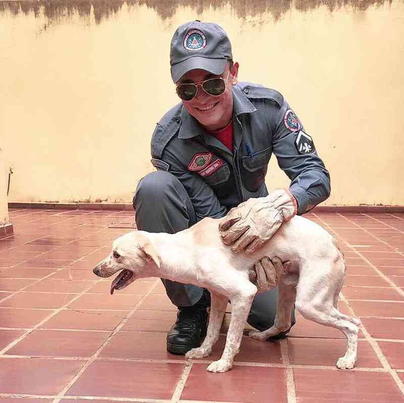 Bombeiros salvam cachorro que ficou preso na própria coleira em Ituiutaba, MG
