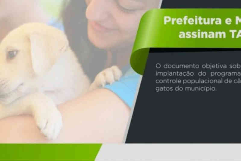 Prefeitura e MP assinam documento que prevê cuidados com animais de rua em Mariana, MG