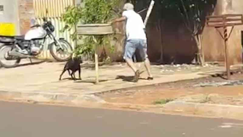 VÍDEO: idoso amarra cachorro em lixeira e o espanca em MS; caso revolta moradores