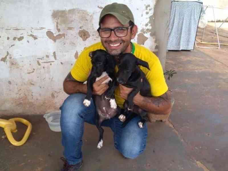 Campanha busca doações de ração para cães e gatos tirados das ruas em Campo Grande, MS