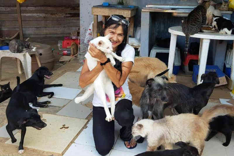 Associação que resgata animais tem mais de R$ 20 mil em dívidas e pede ajuda