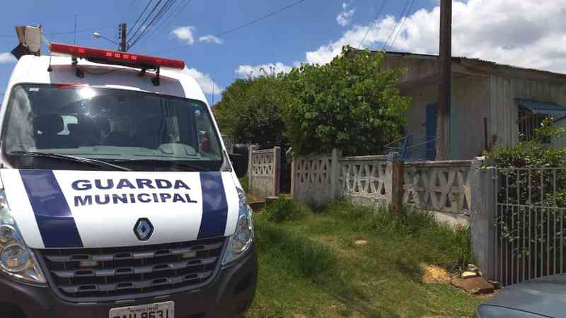 Guarda Municipal encontra animais abandonados em residência em Ponta Grossa, PR