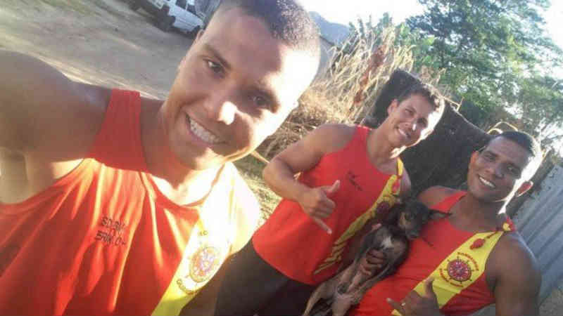 Bombeiros do GMAR de Niterói (RJ) ressuscitam cão com massagem cardiopulmonar. Veja o vídeo