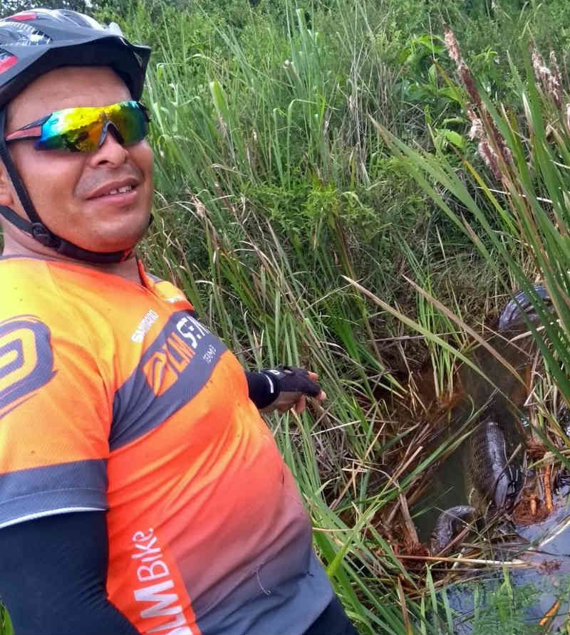 Ciclista que tirou foto de sucuri lamenta a morte do animal: ‘Postei na boa fé’