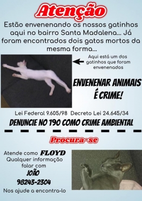Moradores relatam envenenamento de animais no Jd. Santa Madalena, em Mogi Guaçu, SP
