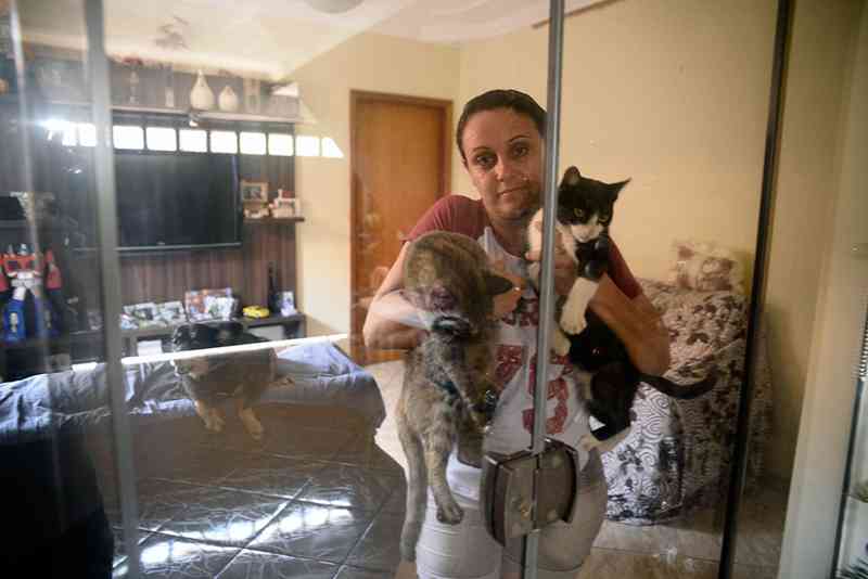 Polícia abre investigação sobre chacina de animais no bairro N. S. Aparecida, em Piracicaba, SP