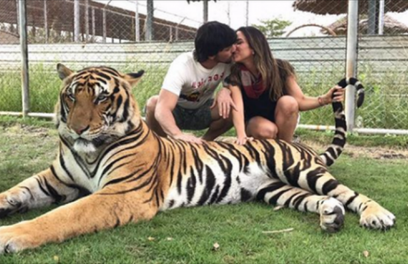Patrícia Abravanel é criticada por internautas após foto com tigre