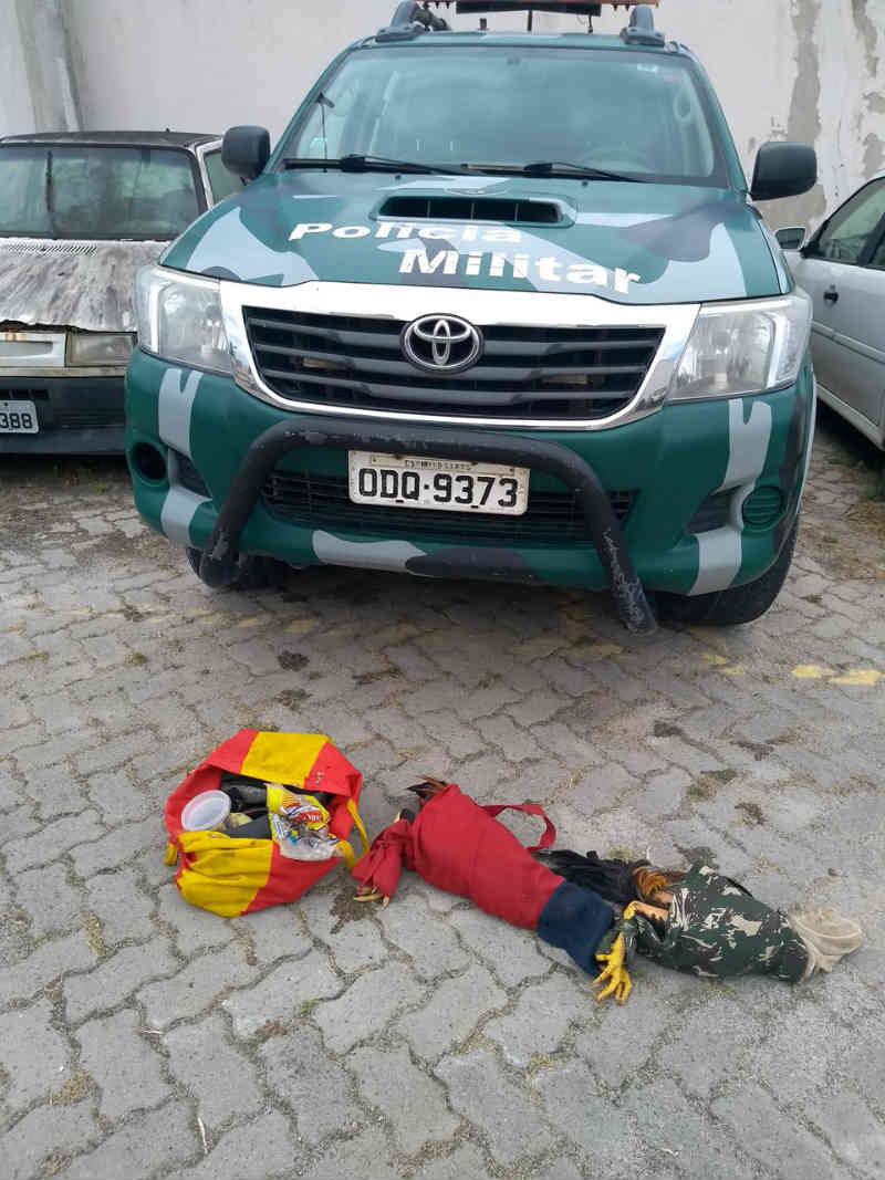 Polícia Ambiental flagra maus-tratos a animais e desmonta rinha de galos em Jaguaré, ES