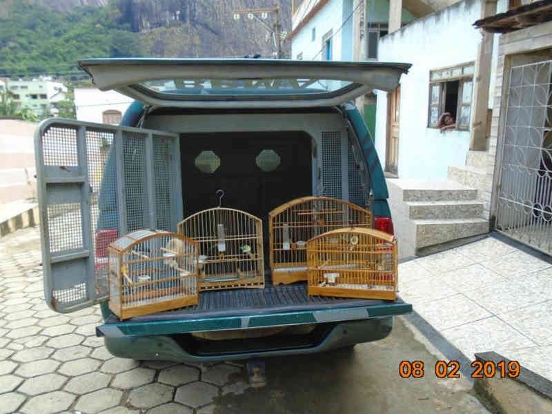 Cativeiro de animais silvestres é encontrado pela Polícia Ambiental em Pancas, ES