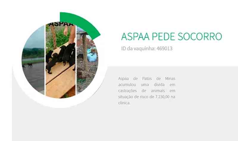 ASPAA inicia vaquinha online para arcar com custo de castração e pede ajuda da população em Patos de Minas, MG