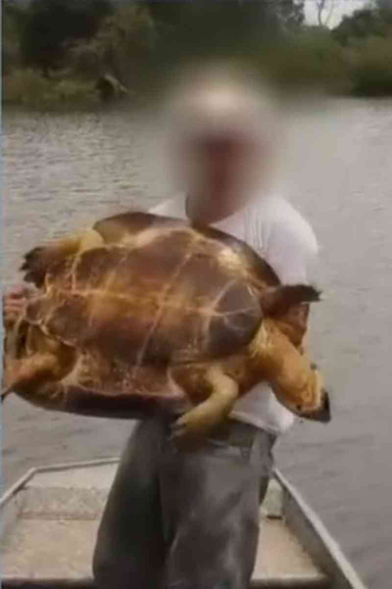 Ibama identifica e intima pessoas que postaram vídeos nas redes sociais pescando tartarugas em MT
