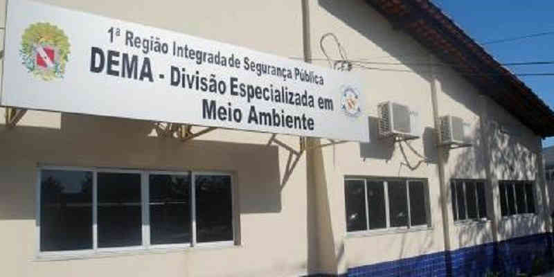 Polícia investiga morte de doze cachorros após consumo de ração contaminada em Belém, PA