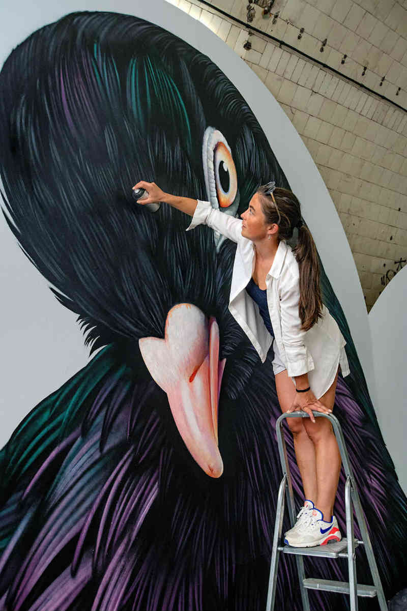 Pinturas enormes de pombos revelam a inesperada beleza dessas aves
