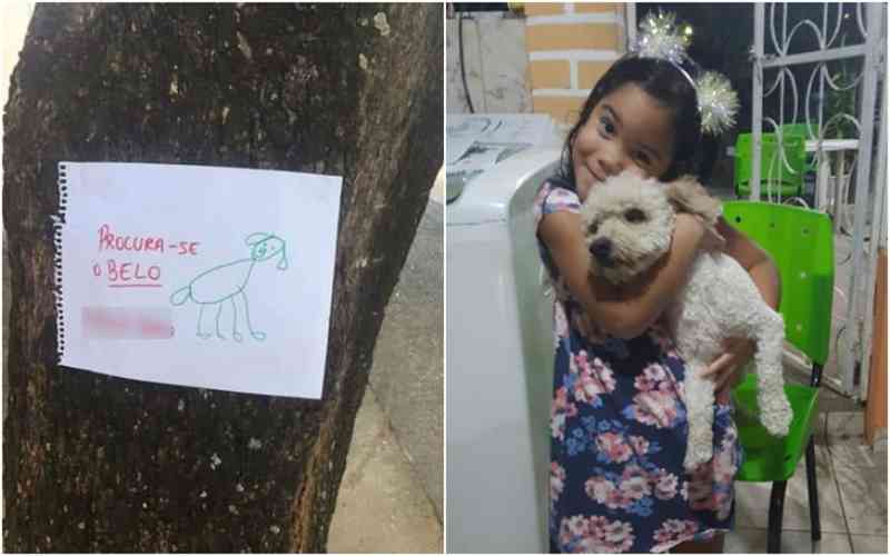 Menina de 4 anos faz cartazes com desenho à mão para encontrar cão perdido