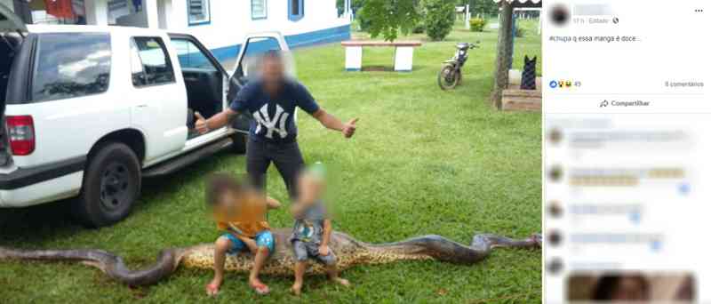 Após multa, suspeito em morte de sucuri de 6 metros posta foto com crianças sentadas sobre cobra