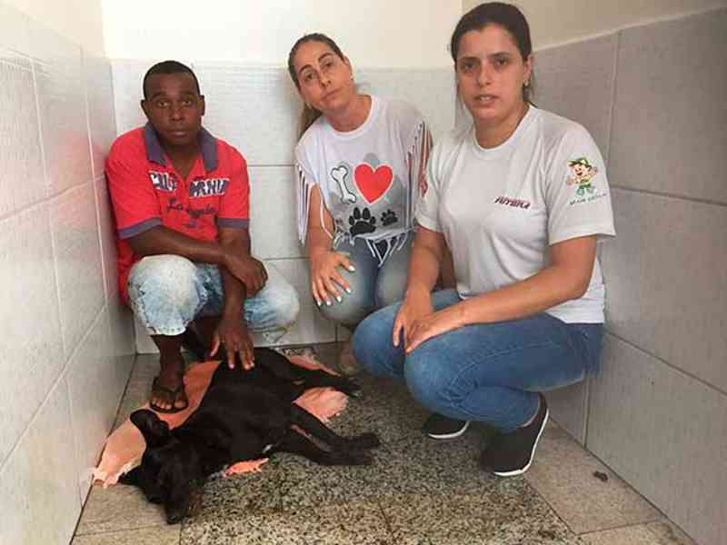 Morre um dos cachorros mutilado na zona leste de Tupã, SP