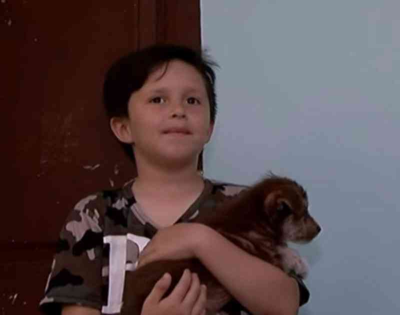Menino de 7 anos salva filhote de cachorro que foi maltratado por outras crianças