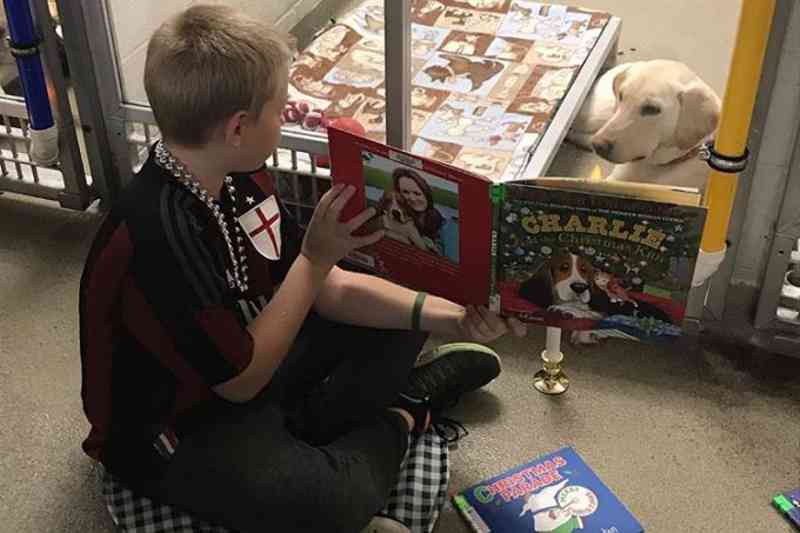Crianças leem para cães que sofreram maus-tratos e a melhora é visível!