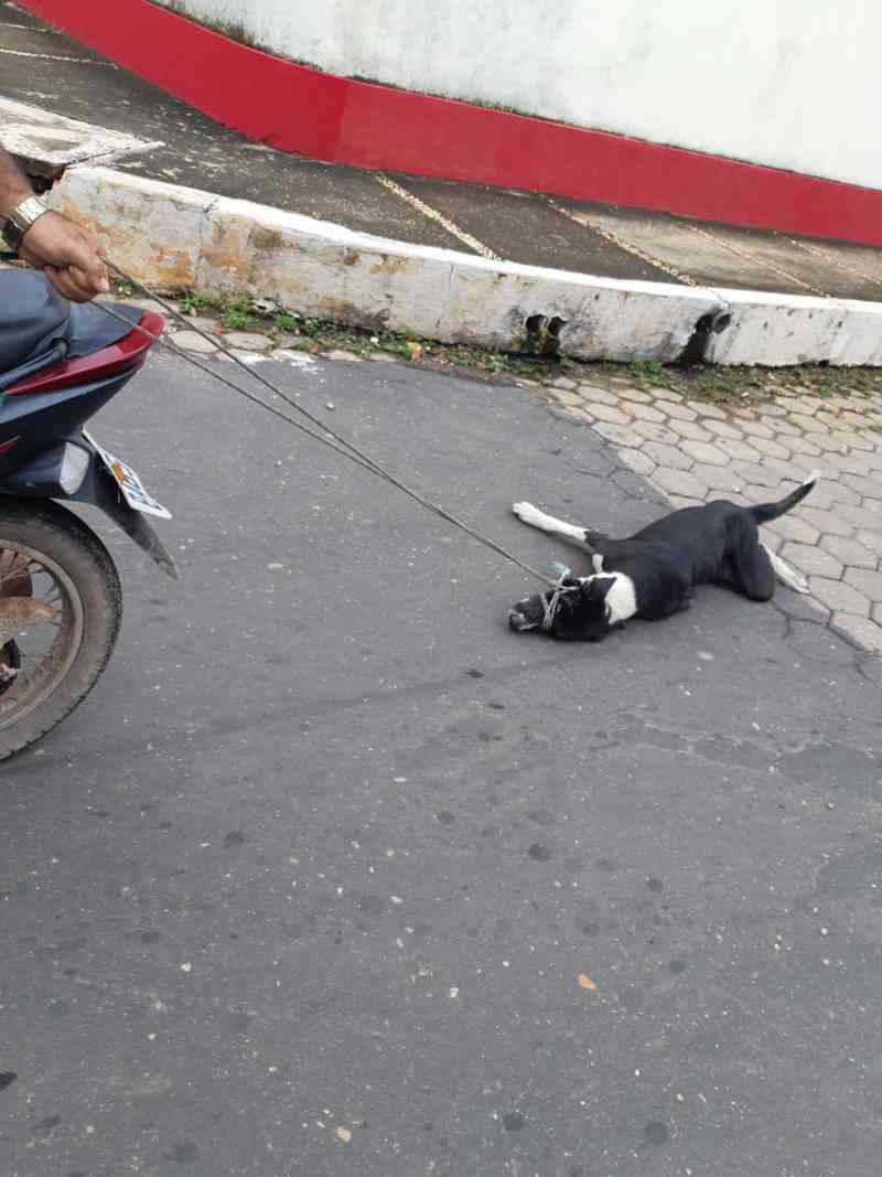 Imagens mostra motociclista arrastando cachorro no Maranhão