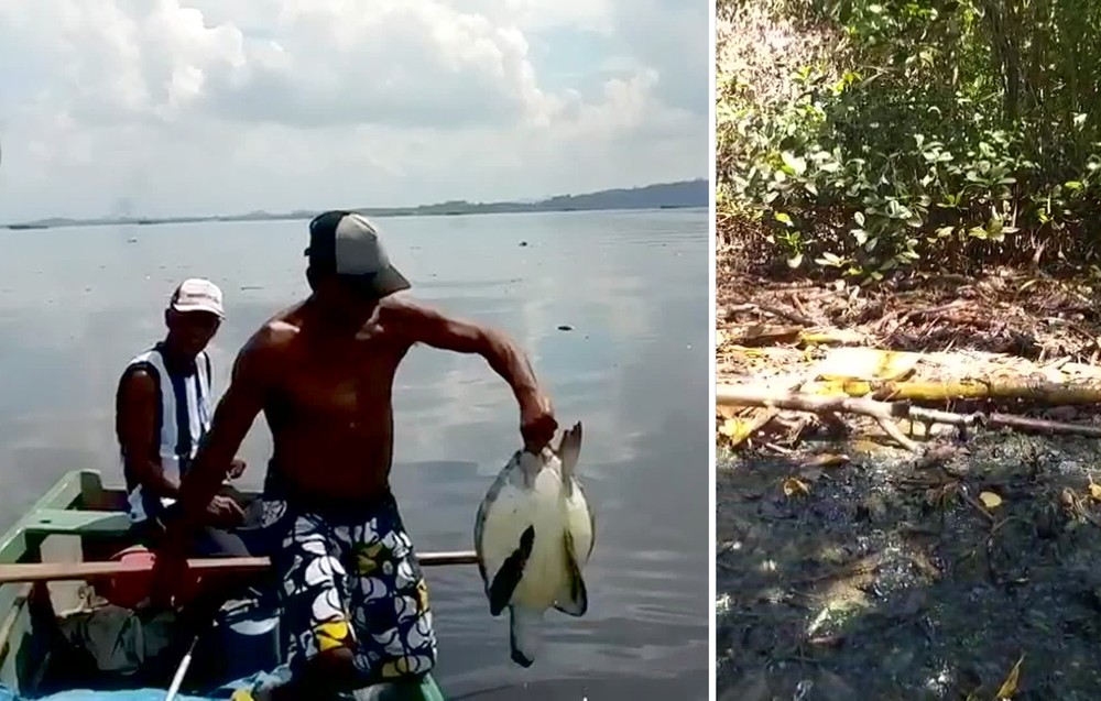 Pescadores relatam morte de animais em área atingida por vazamento de óleo na Zona Oeste do Rio