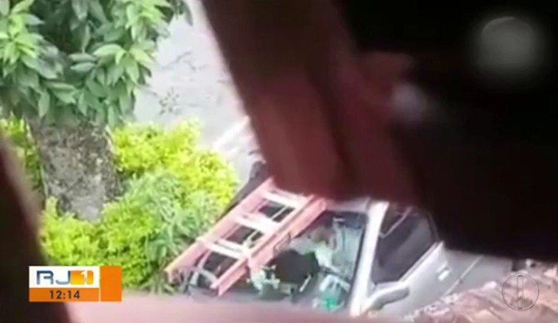 Vídeo mostra homem espancando filhotes de gatos que ele adotou no RJ