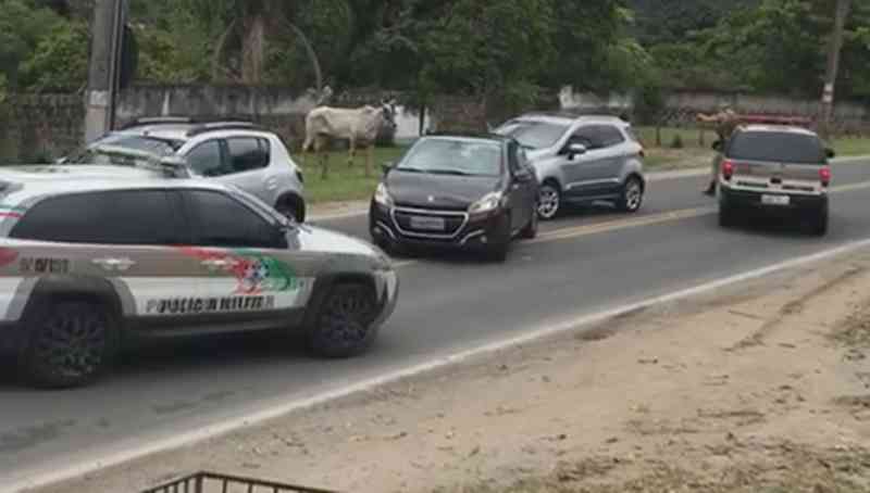 Polícia Militar inicia operação de combate a farra do boi em Santa Catarina