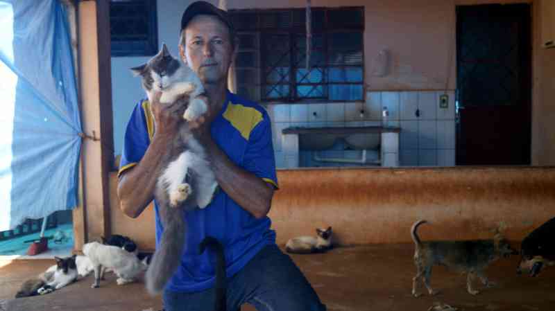 Desempregado de Nova Europa (SP) conta com doações para cuidar de 72 gatos e sete cães abandonados