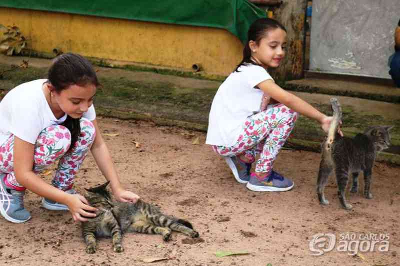 19 animais são adotados em ação realizada no Canil e Gatil Municipal de São Carlos, SP