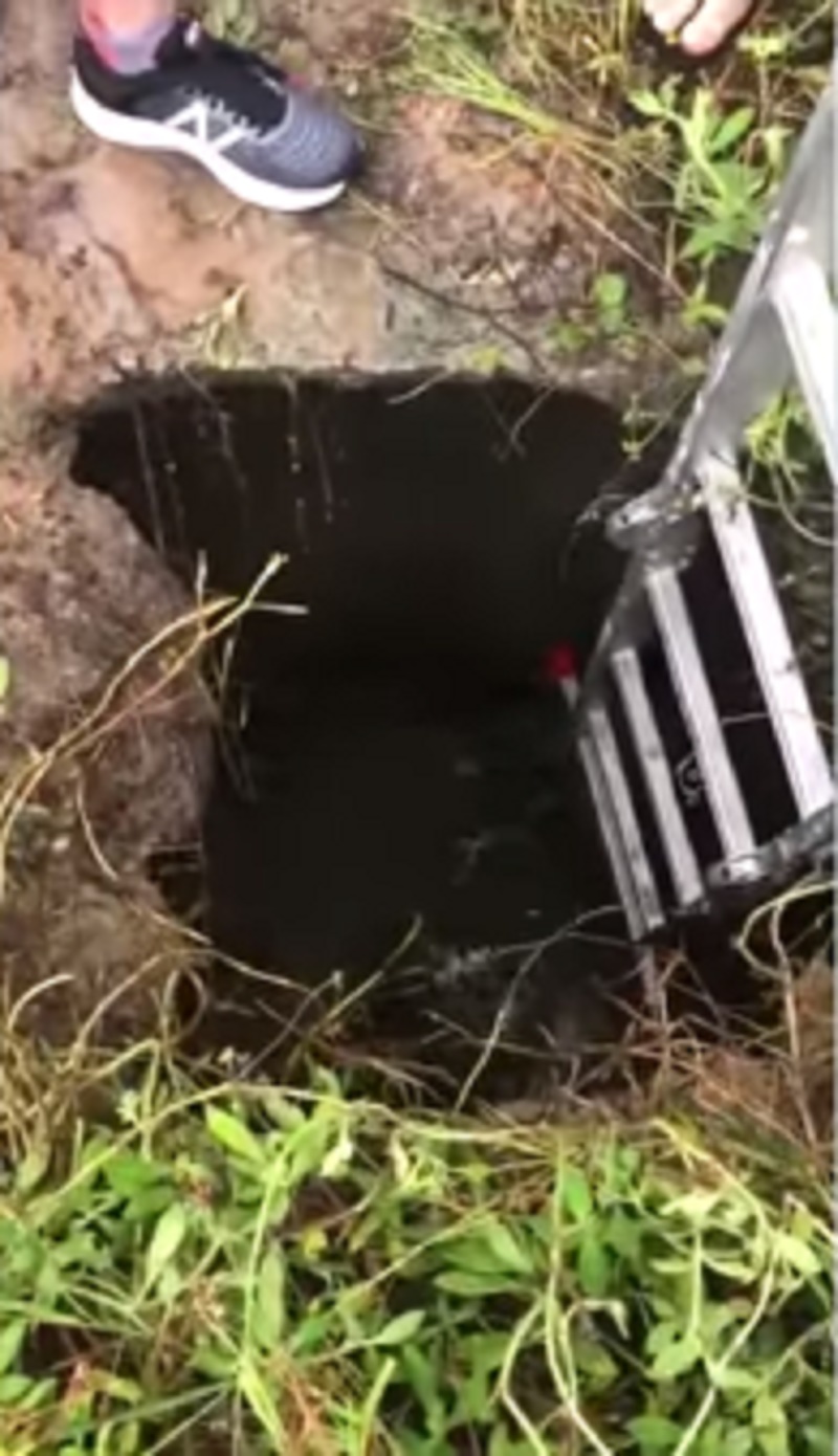 Ciclistas resgatam cão de buraco com cerca de 3 m de profundidade no Sabiaguaba em Fortaleza, CE; veja vídeo
