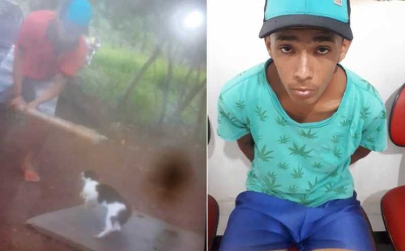 Jovem preso no Piauí será indiciado por matar gato a paulada