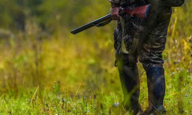 93% dos brasileiros são contra a caça, diz Ibope