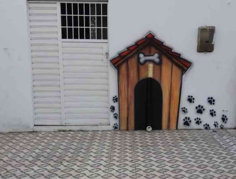 Empresário instala comedouro adaptado para animais de rua no centro de Penedo, AL
