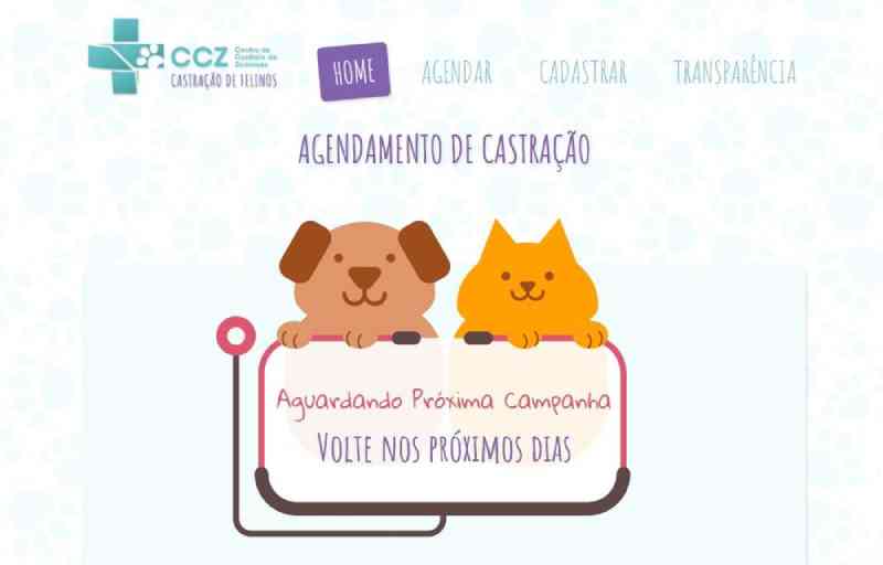 Em 12 minutos se esgotam vagas online para castração de gatos no CCZ de Campo Grande, MS