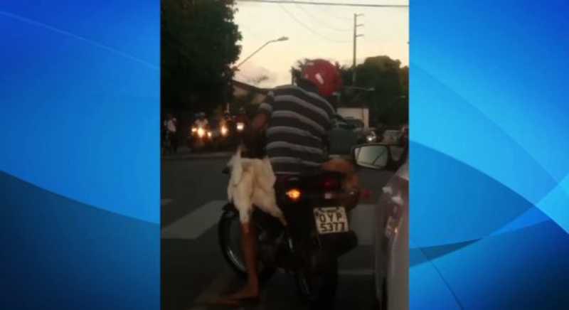 Vídeo: homem é flagrado transportando patos em motocicleta no Recife