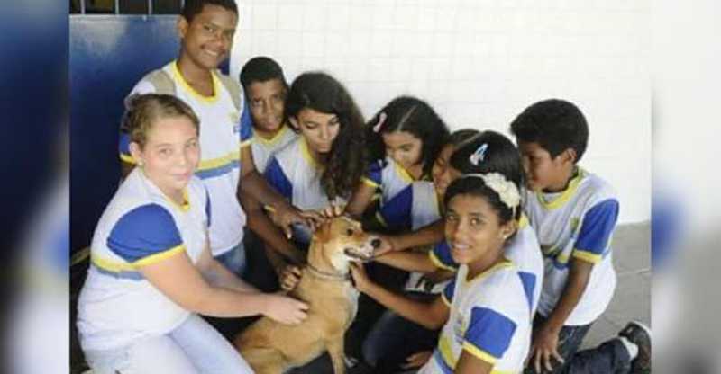 Escola adota cachorros de rua e incentiva o respeito aos animais