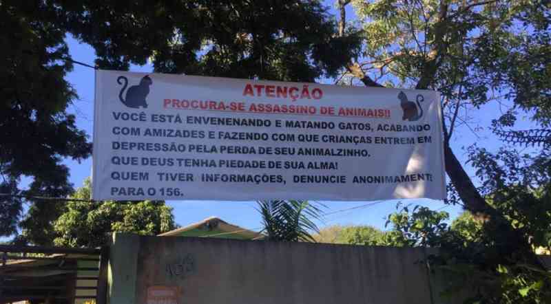 Casos de envenenamento de animais assustam moradores de Maringá, PR