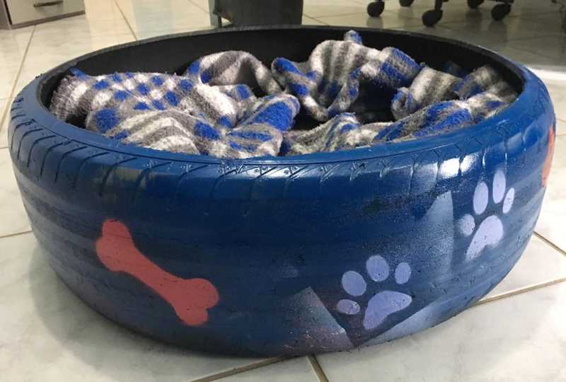 Voluntários produzem camas para cães de rua usando pneus em Muriaé, RJ