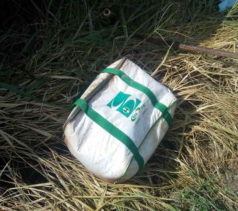 Cachorro é encontrado morto dentro de bolsa jogada em um terreno baldio no Jd. Samambaia, em Itupeva, SP