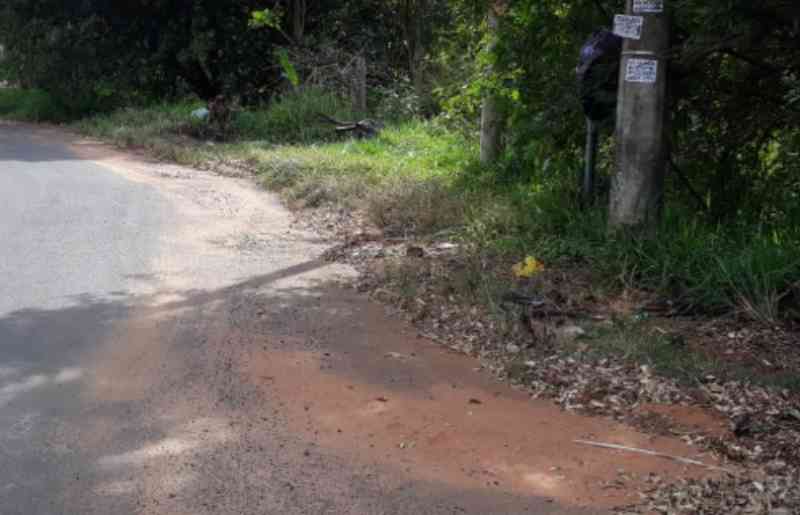 Cães são encontrados mortos em córrego na zona leste de Ribeirão Preto, SP