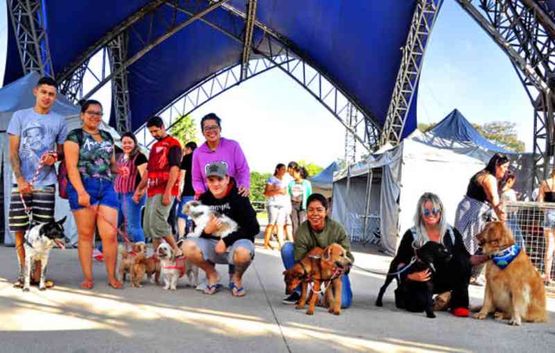 Santo André (SP) chega a marca de mil animais adotados na feira de adoção