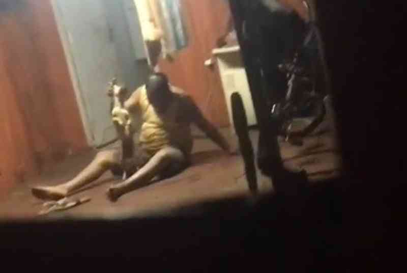 ONG resgata cão após vídeo mostrar ele sendo espancado em Maringá, PR