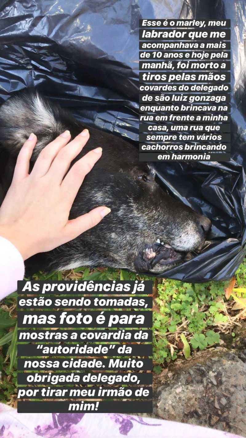 Katyusse, tutora do Marley, fez uma postagem com desabafo após a morte do cão — Foto: Katyusse Gabert/Arquivo pessoal