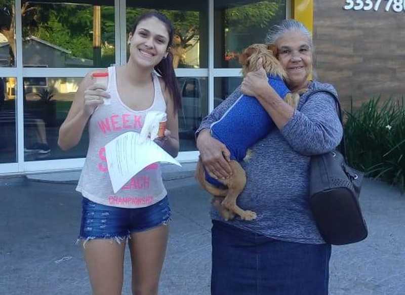 Cachorro castrado com canivete e sem anestesia em Araraquara tem alta e se recupera em casa