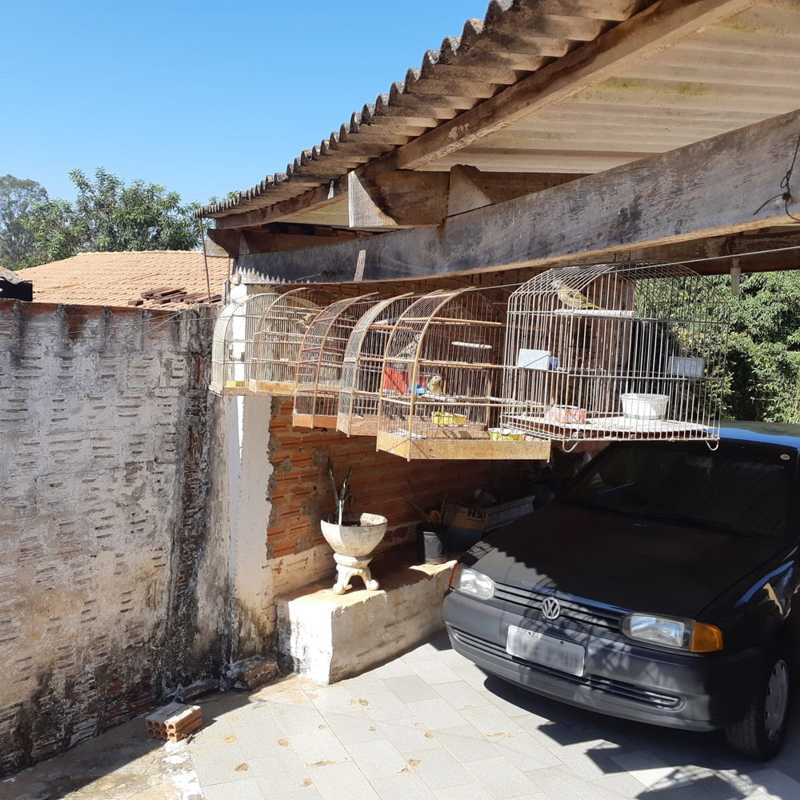 Polícia Ambiental apreende 14 aves silvestres dentro de gaiolas em Charqueada, SP