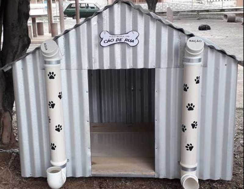 Homem constrói casinha para cães de rua se abrigarem no frio em Guaçuí, ES