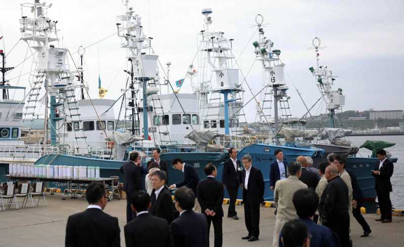 Japão sai à caça de 227 baleias depois de 30 anos de moratória