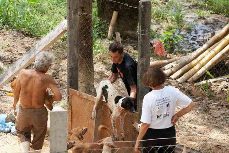 Associação que resgata animais abandonados em Além Paraíba (MG) pede ajuda para manter as portas abertas