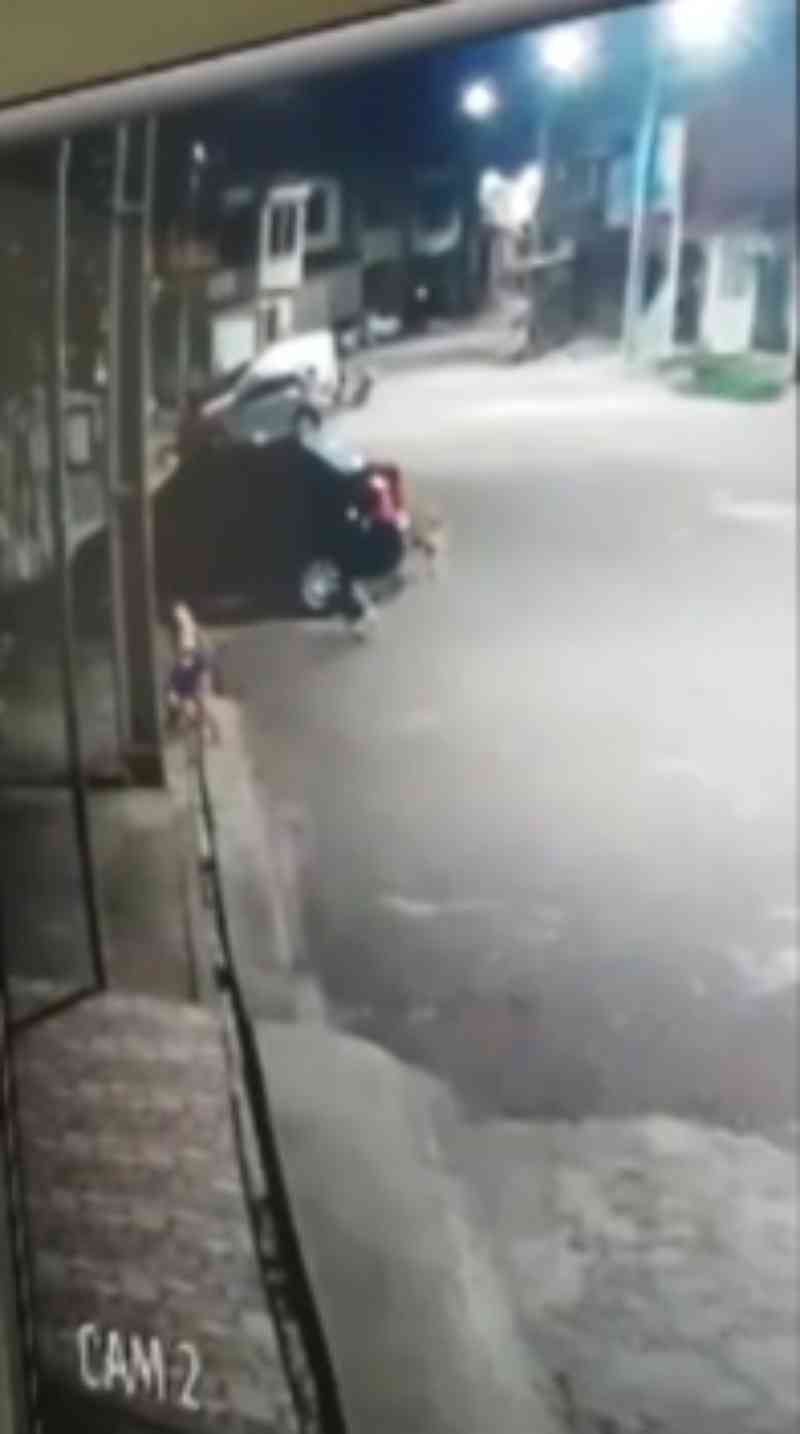 Homem é preso suspeito de agredir cachorro a pauladas em Belém; veja vídeo