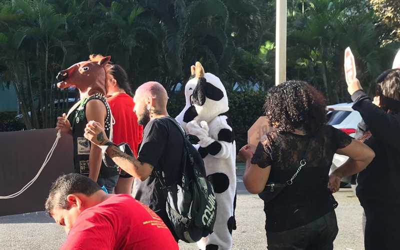 Manifestantes se fantasiam de animais para protestar contra uso de bichos em evento de shopping